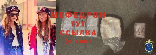 индика Сатка