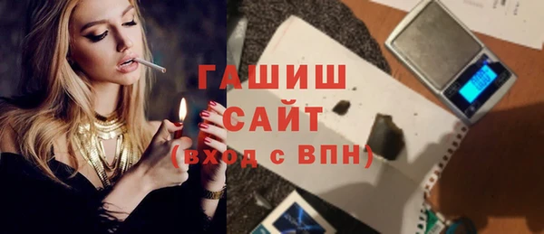 индика Сатка