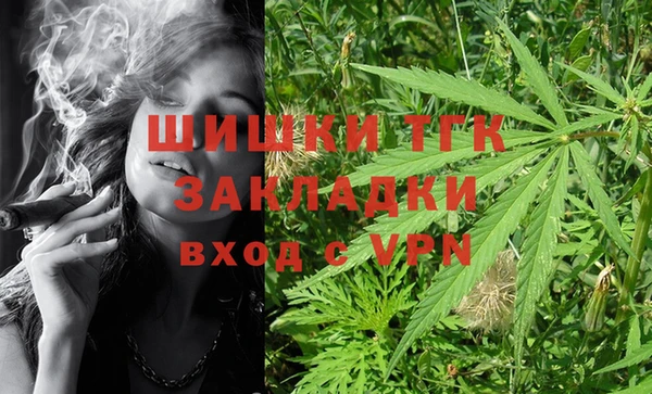 дурь Дубовка
