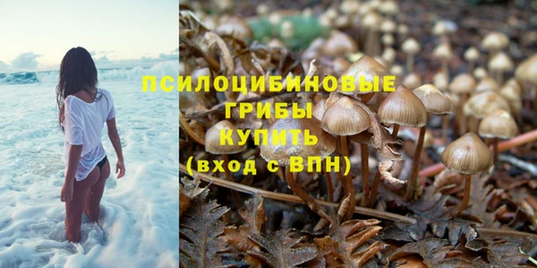 стафф Семилуки