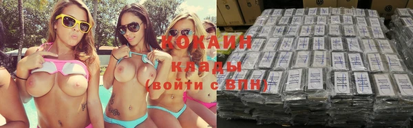 индика Сатка